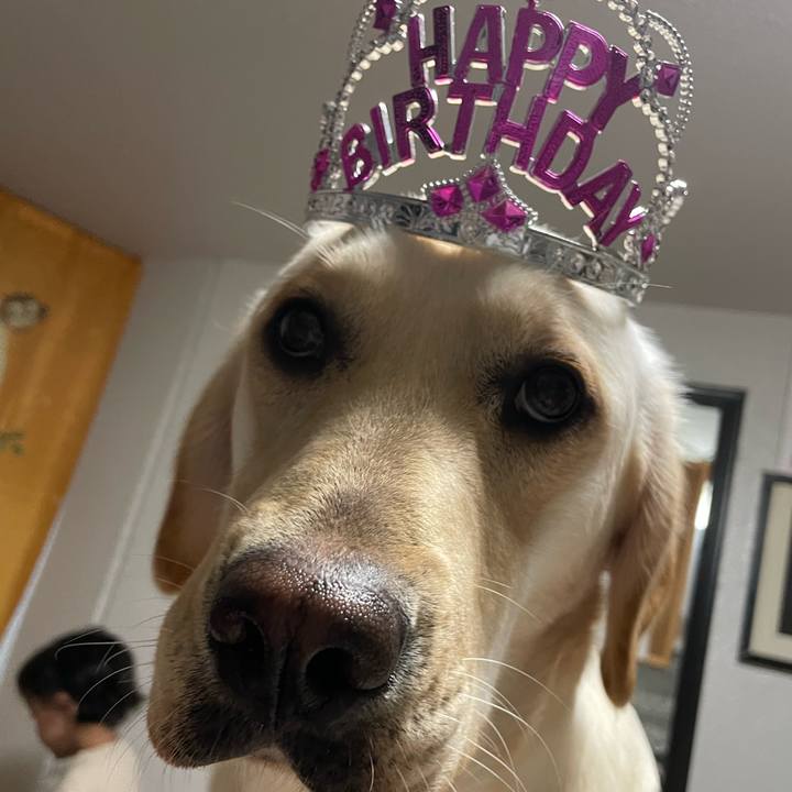 6d6d46b3 896e 4a69 9f98 800f91e88710 1652957625393