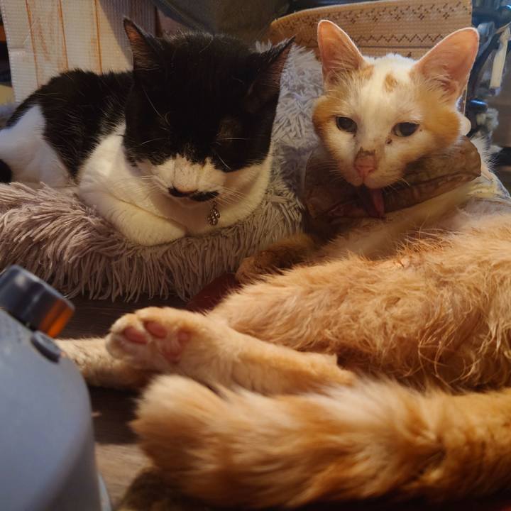 6d6dbb24 c7a3 4e79 beba 7a5c1f3e412e 1762845250091