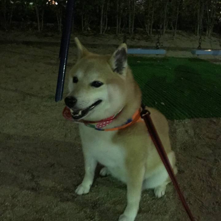 6d6dc560 9bcd 4796 bc93 607716d7d6bb 1524494410932