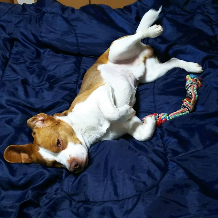 6d6dcc15 edbb 4f53 be33 973b8e24f9a6 1524152899486