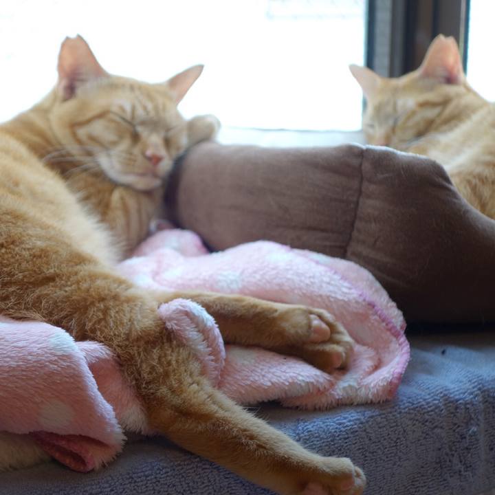 6d6df04f 91cd 4b08 96ac 1d7d5428ec84 1588309892187