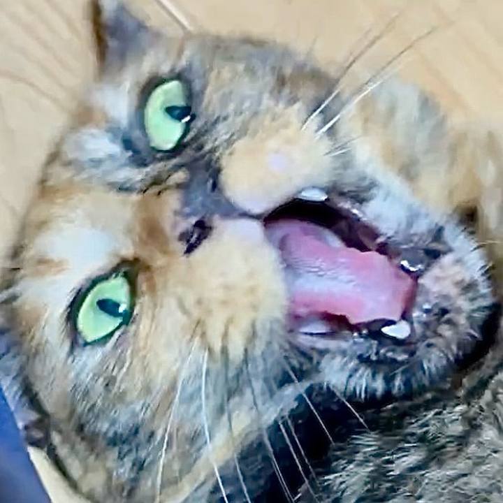 6d6e0b3a df05 4d05 9368 8cf0daec5def 1754945222092