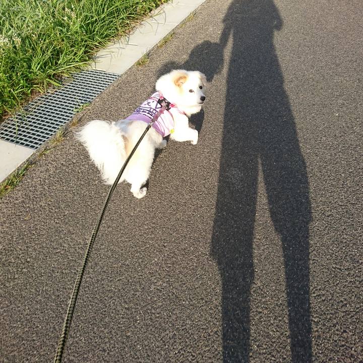 6d6e3bc8 5e16 4339 abd1 151587c5b328 1534628716178