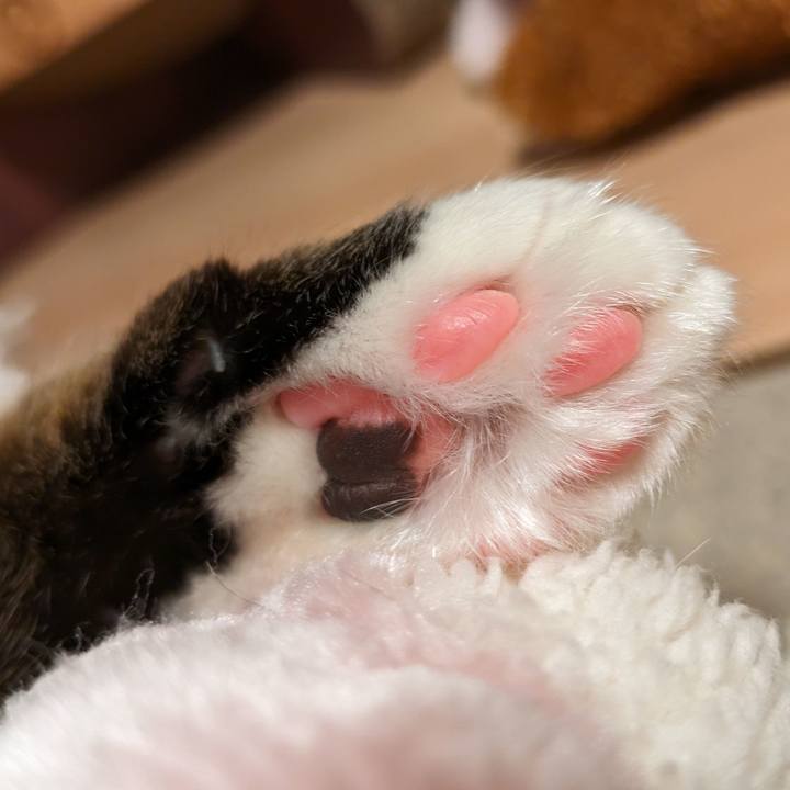 6d6e42aa 0630 45c4 b706 f288ea298795 1705486435448