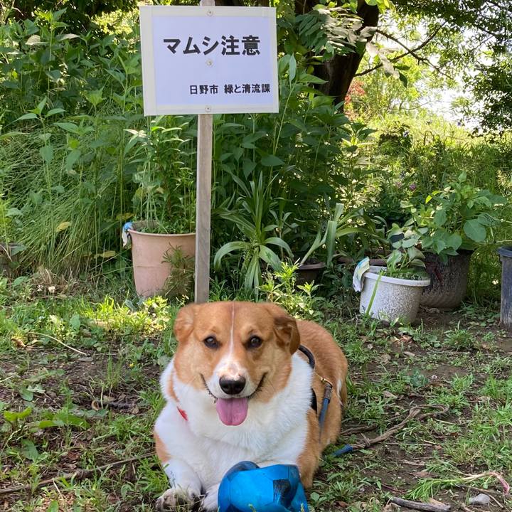 6d6e483e 0275 415d 8065 998a720e1bde 1684890899649