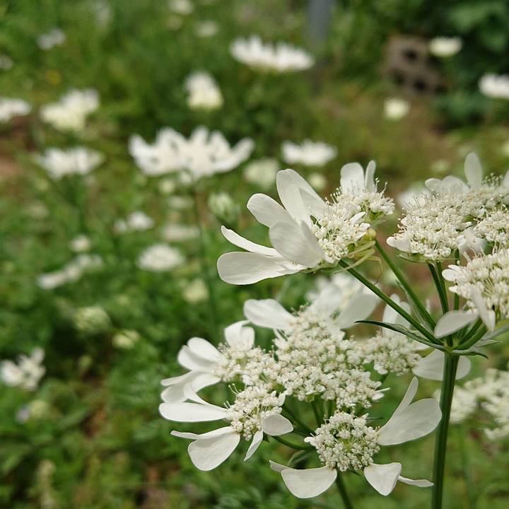 6d6e6154 c351 4891 8b99 7d7776337444 1652932188813