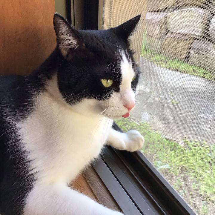 6d6e682e d5f7 4d85 86d0 4fafb29c8f19 1723883383629