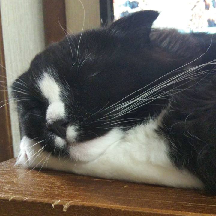 6d6eb4c6 3422 45c8 8420 ddc239f2a420 1646482908833