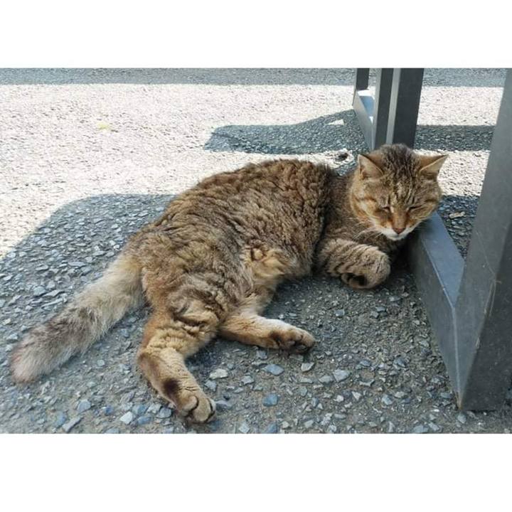 6d6ec1e7 5614 4c67 9a70 c6bd82c51831 1626405233117