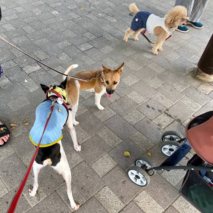 6d6ed42f 794c 4875 80a5 98c7a5f7a961 1597369842387