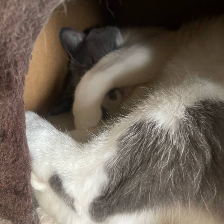 6d6ed446 18b7 4e38 b8f9 27c266e384bd 1756012508285