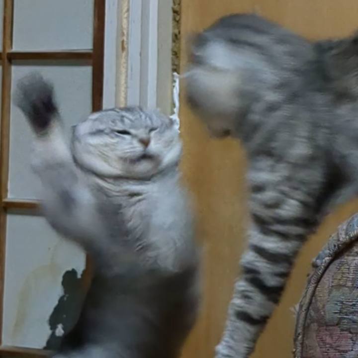 6d6ed5ca 26cc 4630 a749 1aacafffd304 1721987626602