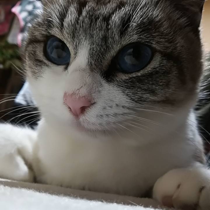 6d6f257a e73f 42e6 9b11 fd17f5b4d6ab 1513427054133