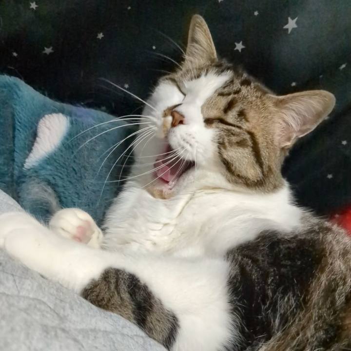 6d6f2d7c 07b6 4589 843c d6ea5056eb91 1750021821012