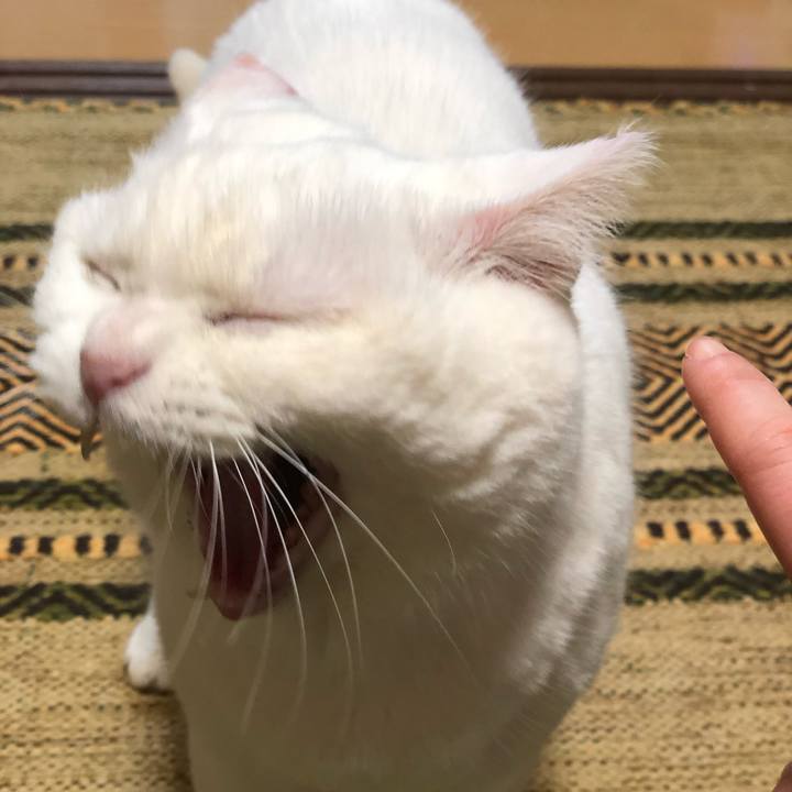 6d6f317e 2fa4 46ba b4b3 6bd3fbccba7d 1550394125506