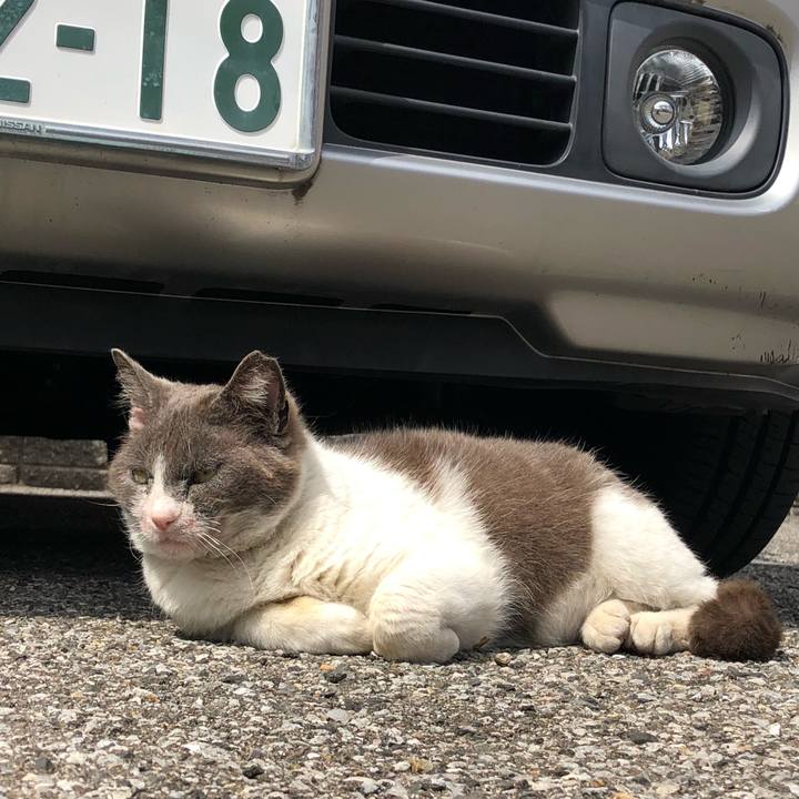 6d6f3b4c 5e13 4fc9 b1c5 f04cbdee75bf 1617092532272