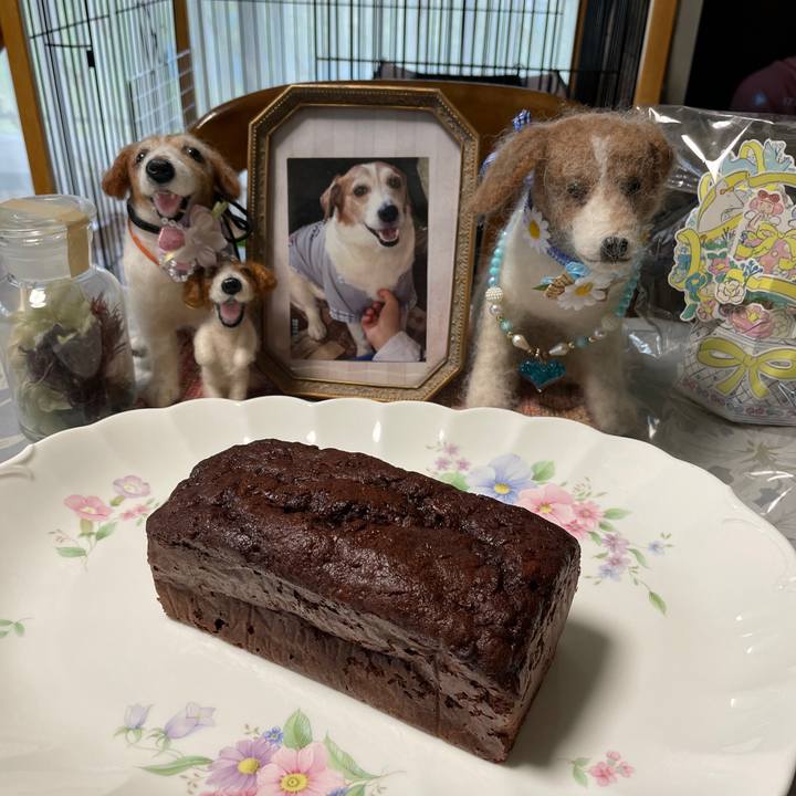 6d6f4637 c45c 42b7 b37d 77b1b7b8ceb7 1628838900284