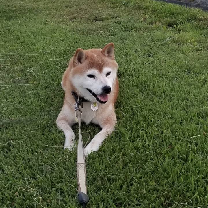 6d6f9efb b4a6 4879 a8de a7333c607100 1662368926851