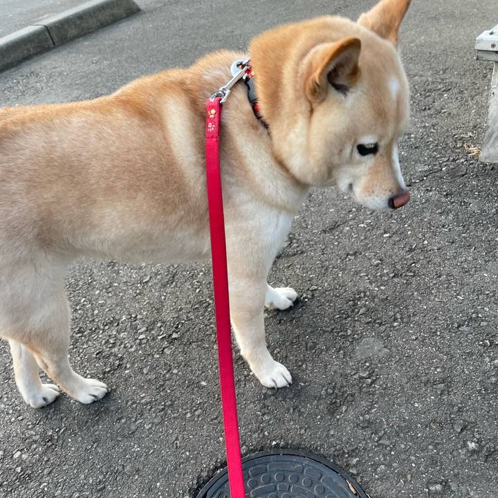 6d6fcb8d bd89 44ec 8941 1ef2b11a7643 1674718258567