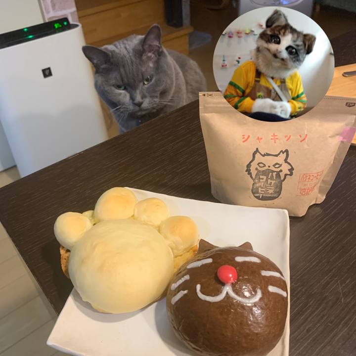 6d6ff90f eace 4e67 a2f0 92a9ce71e0b4 1672010519213