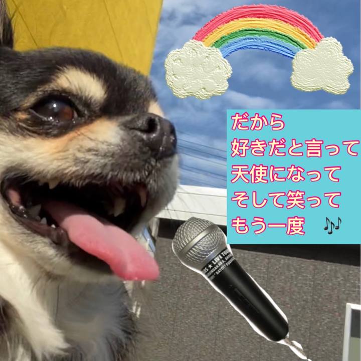 6d7021bf 7f3a 4280 8378 aa6abb350097 1625648570552