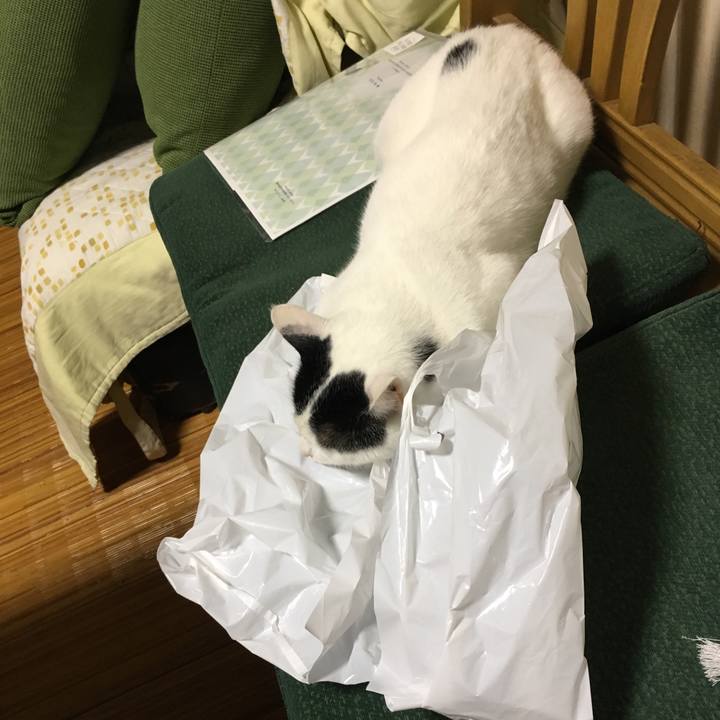 6d7071a6 58d4 4dda 9a48 fa2b7c29049c 1522978164255