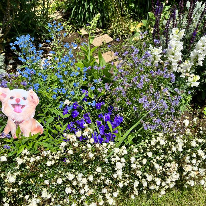 6d70a524 6d20 436e 9ab5 0a975fe360ad 1653283314570