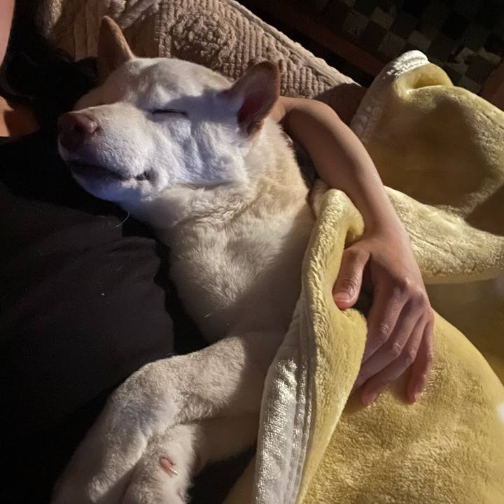 6d70a794 c473 48cc 9938 a7f0a87fb9a0 1649610612334