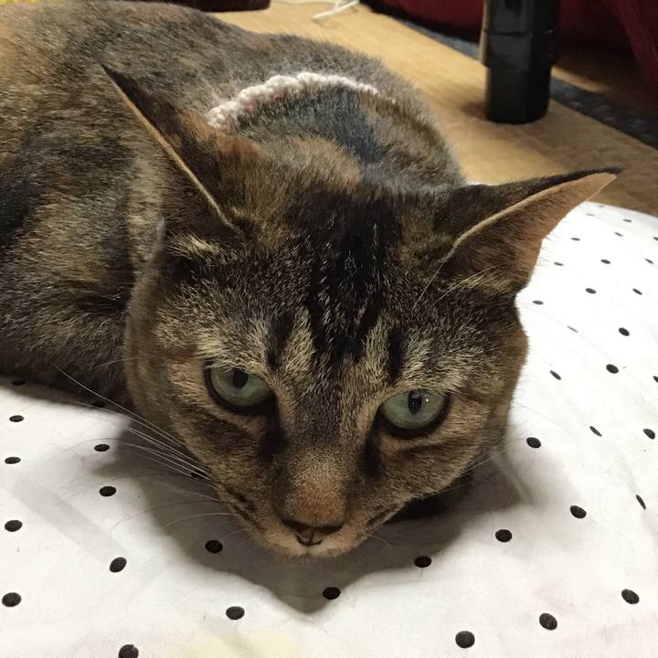 6d7127d9 0fb1 4536 ad51 eac3710aa049 1659168243834