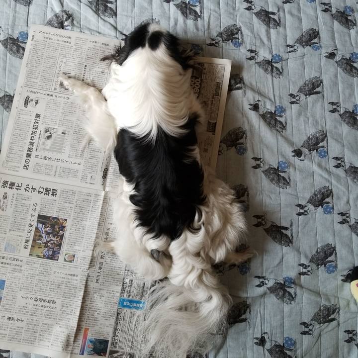 6d713998 45ee 4c4e a735 c5383c9a8804 1526169537551