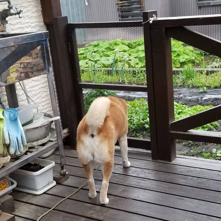 6d714a96 6d71 4f83 8791 e8e26e416b18 1621241069679