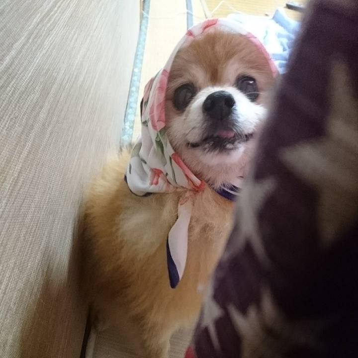 6d718ce9 db63 44ee a58b adf5bcc20670 1536402461463