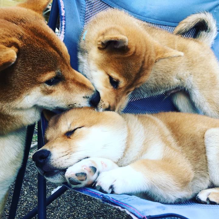 6d719048 404a 46fe 8b5e 3d4860e60afc 1539009223621