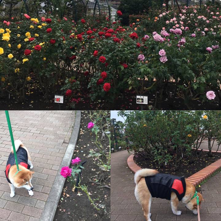 6d719965 8798 4256 a63a c39568a2bb22 1603079224557