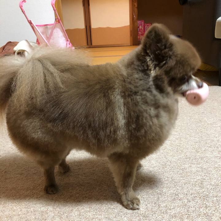 6d71b38e a184 4244 ad8d 935139bf56d5 1637656697107