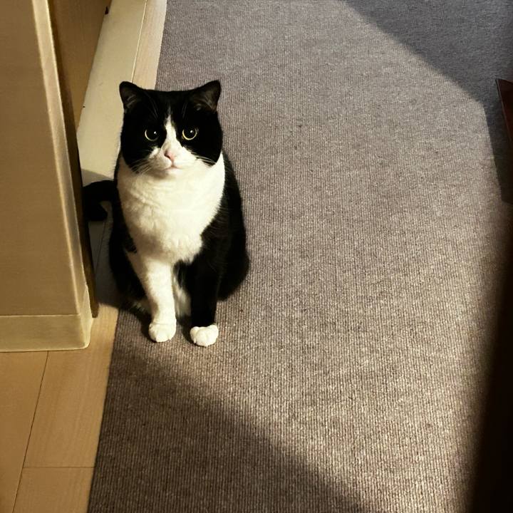 6d71bd5c 33e1 4de7 ba5d 5fc9ff23eb3e 1673857978939