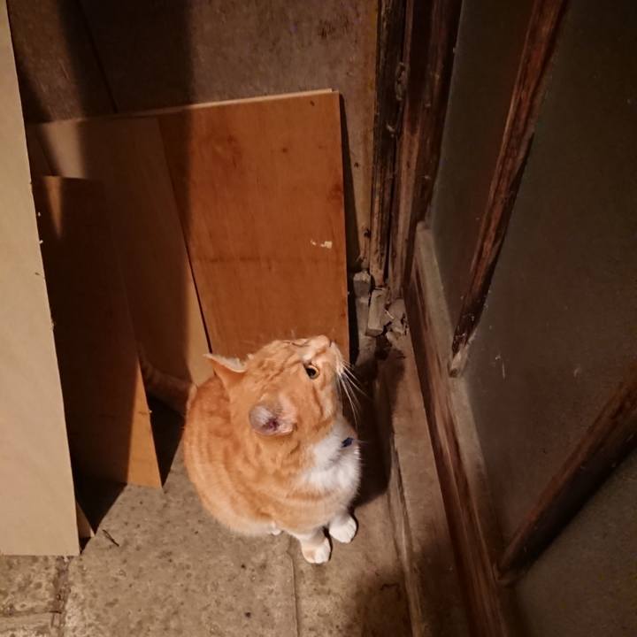 6d71cdbd 0e49 4301 aea8 a244ac1027f0 1607334297835