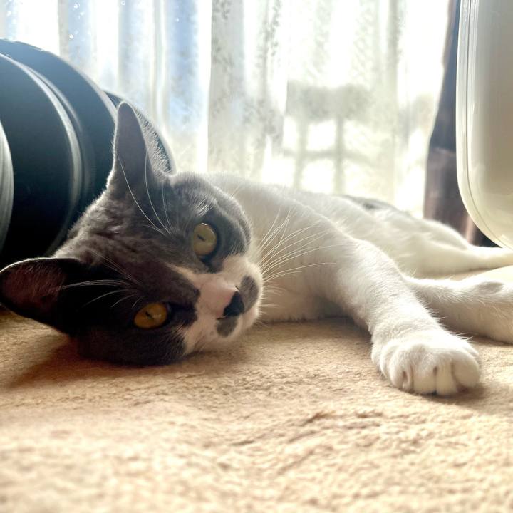 6d71d992 7466 4878 bbd1 bb2061b897f0 1667695855678