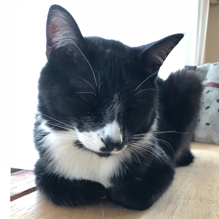 6d71f8f9 4593 4f46 819c 11860a79b71a 1531971685448