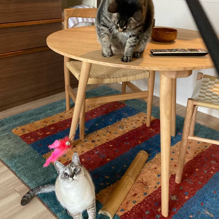 6d7214f6 6d9e 4dba 8bfa c711c1b99fdf 1607824120974