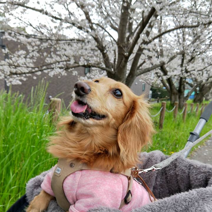 6d722dd2 738c 4e4d 88cf 2e4447a05963 1680004562218