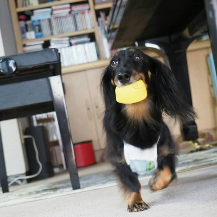 6d724ceb 092d 4e24 9e2f 9d8bd1745162 1566701288935