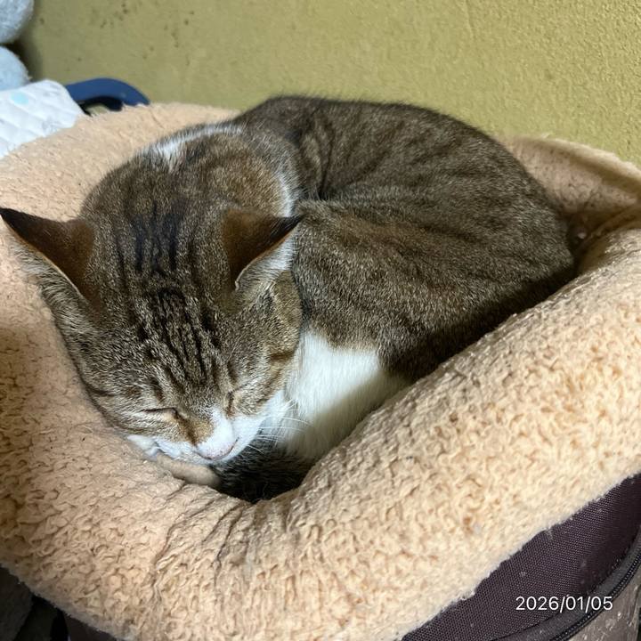 6d72575b 46cf 4813 bd6e 9482dcd733ac 1767563847682