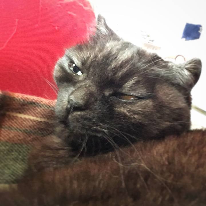 6d725946 4c5d 406e 82db d344a4fe8279 1522206565793