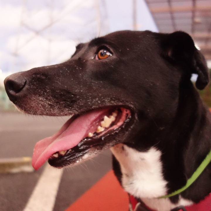 6d726913 5d0e 4d09 8f33 fe92b8bb14f4 1626009324832