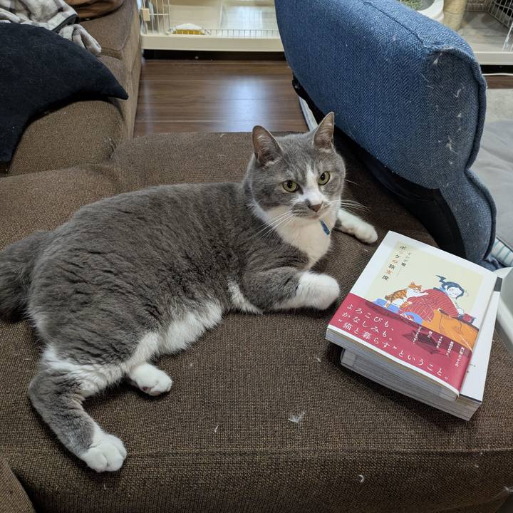 6d72982e 5304 4fd0 a0df fe46fa30439e 1750076322401