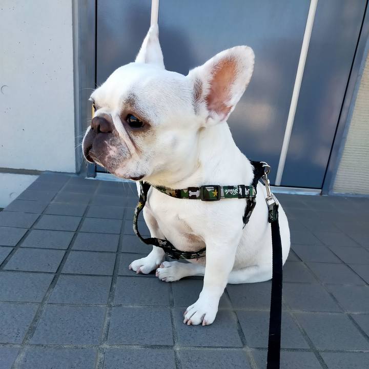 6d72af35 4bda 44a3 8909 ebae0dc0191b 1659091731480