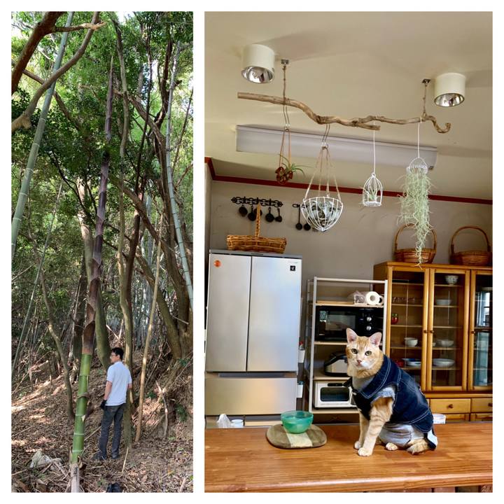 6d72be93 7368 4d6d aa97 cf16226c0555 1651998319767