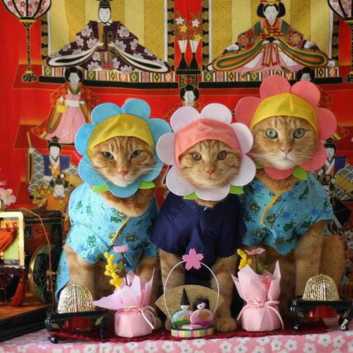 6d72d66d 0fbd 4fd5 9668 50ed4d37fc55 1551582683310