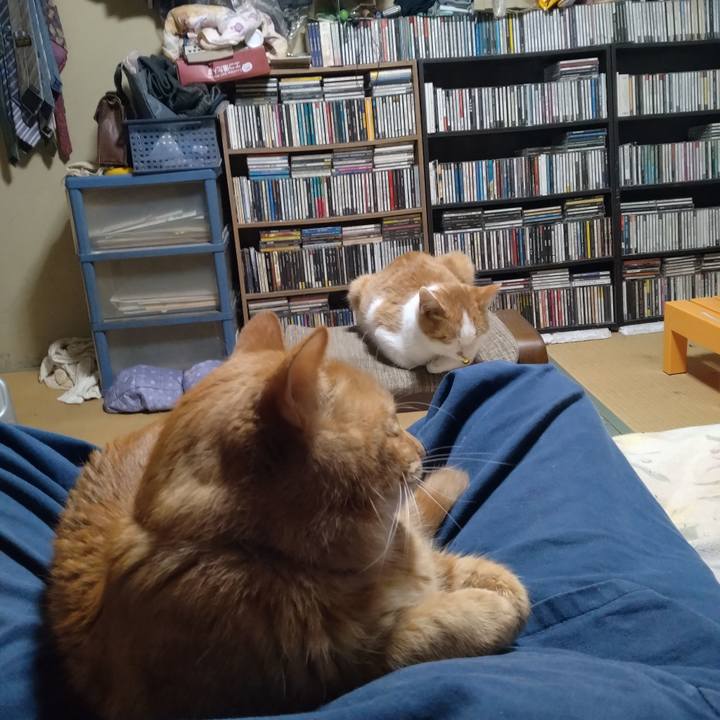 6d72e355 b380 41d2 a767 ff2ec1760593 1734599974833